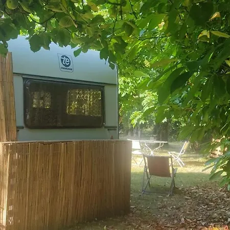 Camping Caravane Années 80 Dans La Verdure Au Domaine Des Oiseaux Vandré