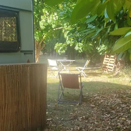 Camping Caravane Années 80 Dans La Verdure Au Domaine Des Oiseaux