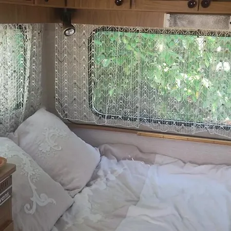 Camping Caravane Années 80 Dans La Verdure Au Domaine Des Oiseaux