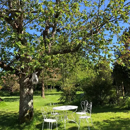 Camping Caravane Années 80 Dans La Verdure Au Domaine Des Oiseaux