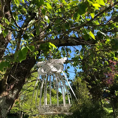 Caravane Années 80 Dans La Verdure Au Domaine Des Oiseaux Camping *