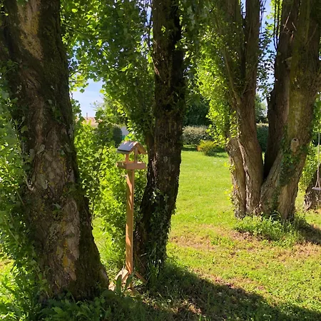 Caravane Années 80 Dans La Verdure Au Domaine Des Oiseaux Camping
